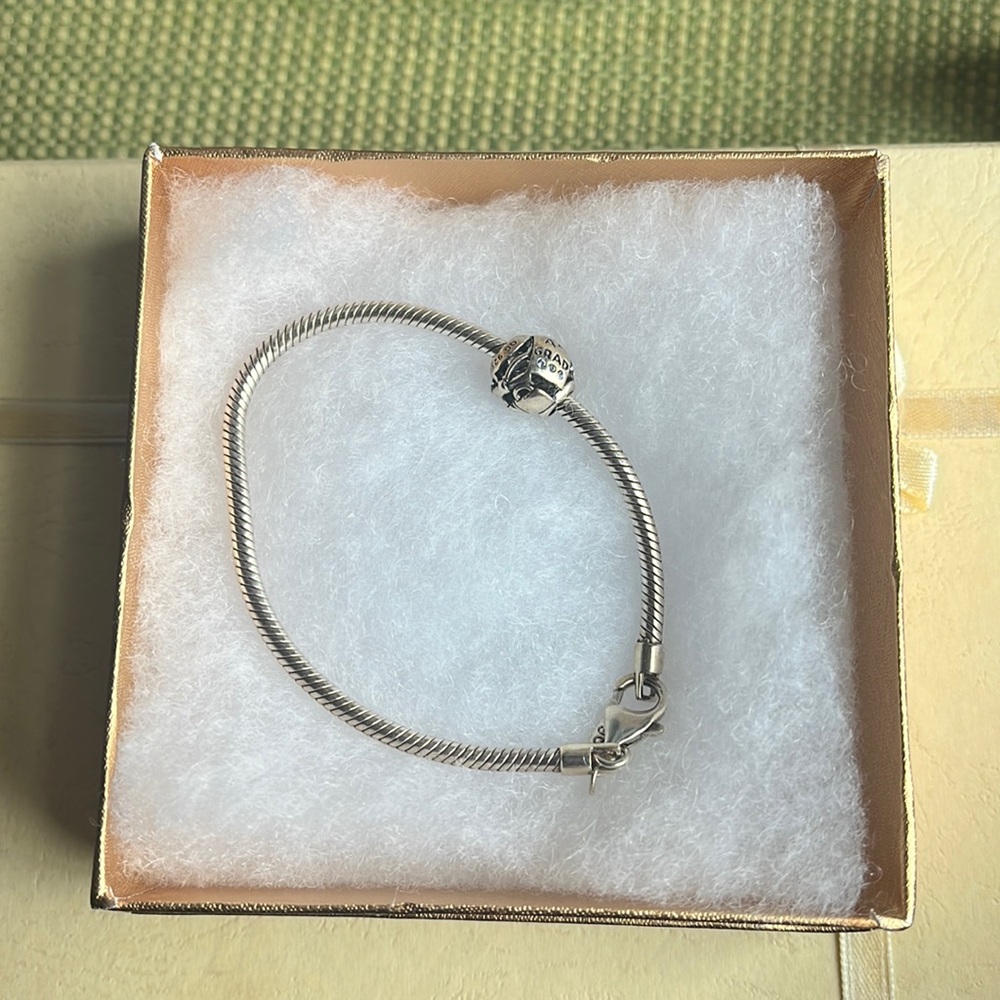 NWOT Graduation Bracelet Never worn, amazing condition Pandora style bracelet
